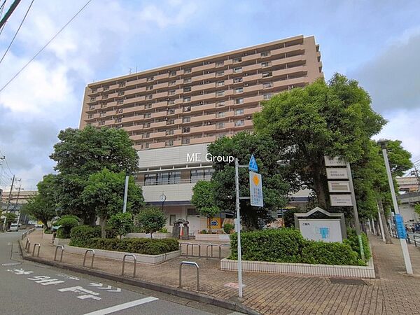 外観：313004807084