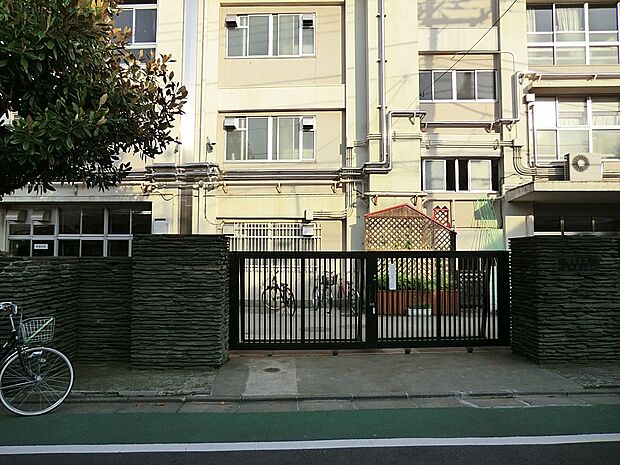 小学校 341m 練馬区立下石神井小学校