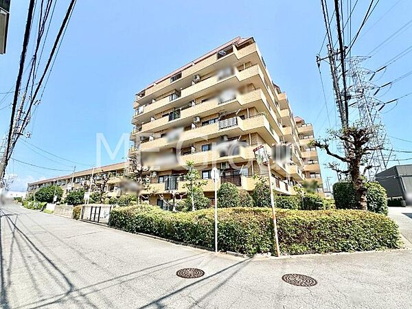 溢れる陽光でご家族の笑顔も輝く