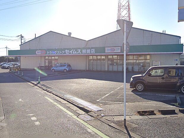 ドラッグストア 300m ドラッグセイムス 柳崎店