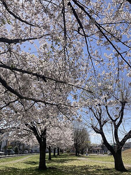 公園 950m 藤沢中央公園