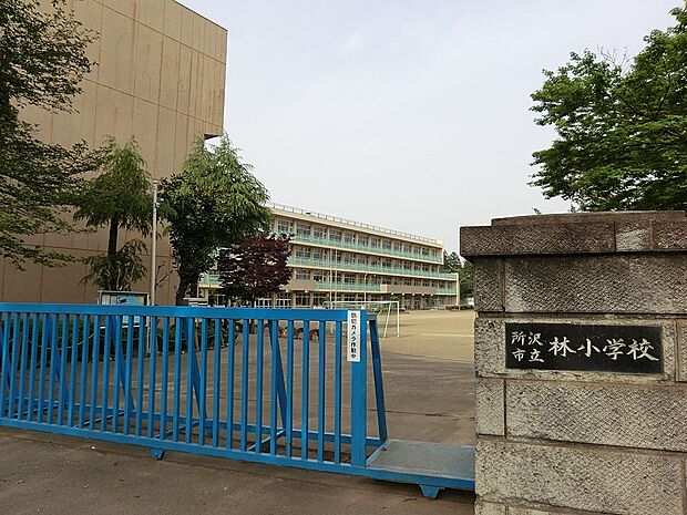 小学校 890m 所沢市立林小学校