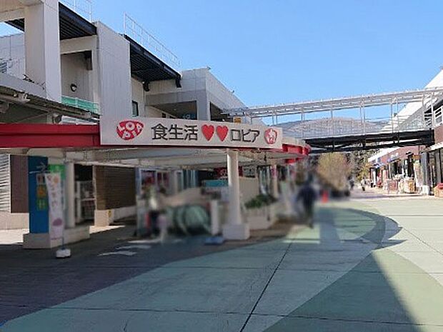 ショッピングセンター 1700m ロピア ふじみ野店