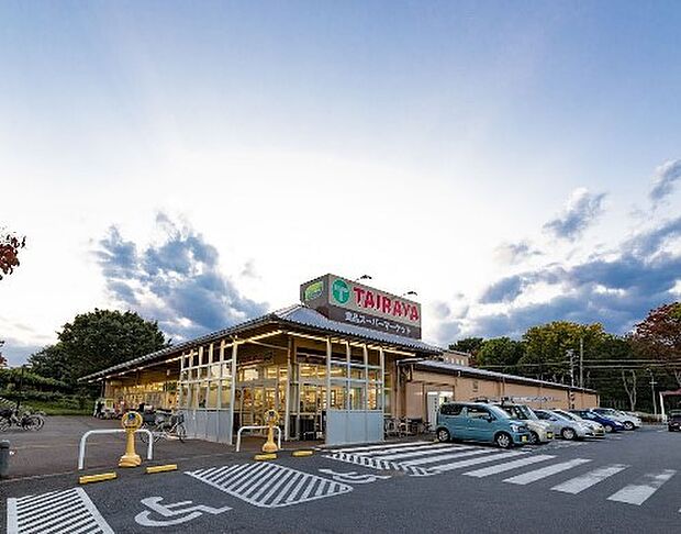 ショッピングセンター 2200m 川鶴ショッピングプラザ(2)