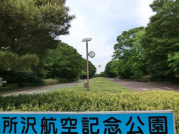 公園 650m 所沢航空記念公園