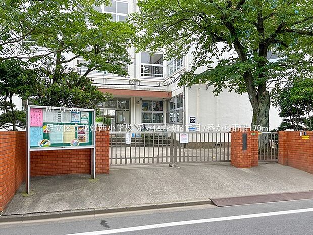 小学校 170m 足立区立花畑西小学校
