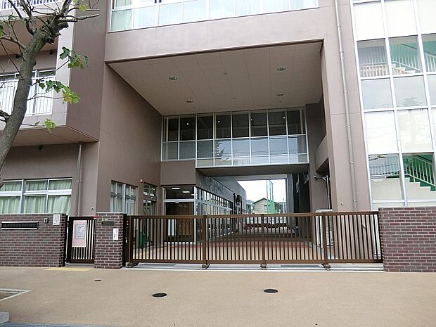小学校 500m 足立区立西新井小学校