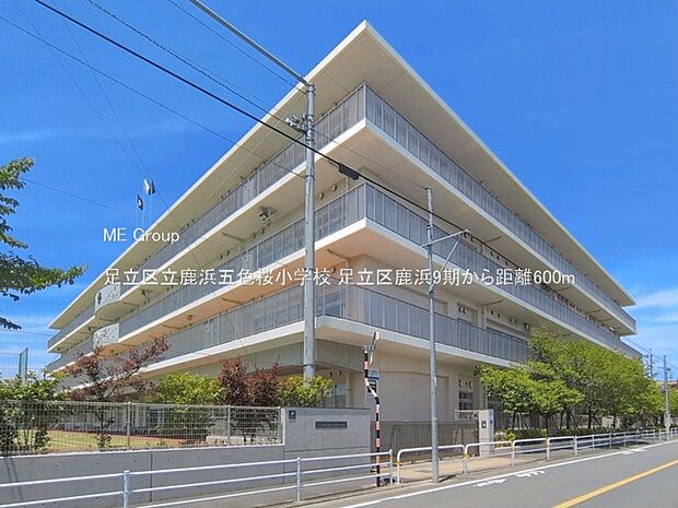 小学校 600m 足立区立鹿浜五色桜小学校
