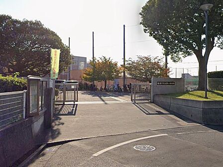 中学校 1270m 藤沢市立第一中学校