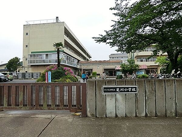 小学校 1041m さいたま市立芝川小学校