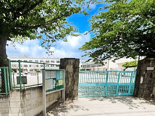 小学校 260m 足立区立花畑西小学校
