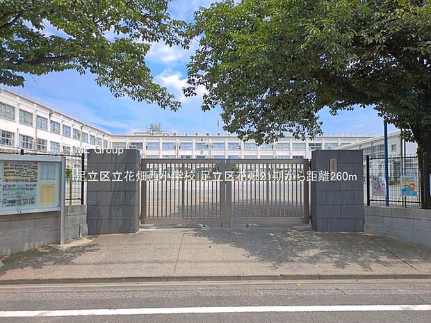 小学校 260m 足立区立花畑西小学校