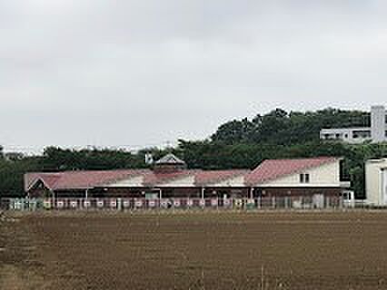 幼稚園・保育園 1300m  東所沢たんぽぽこども園