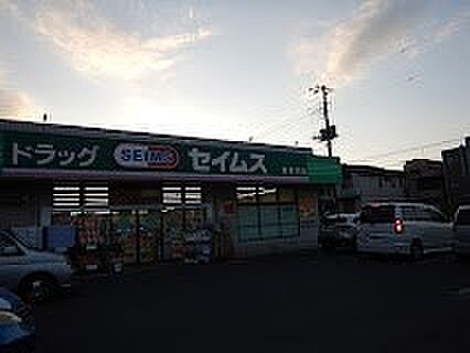 ドラッグストア 500m ドラッグセイムス 東所沢店