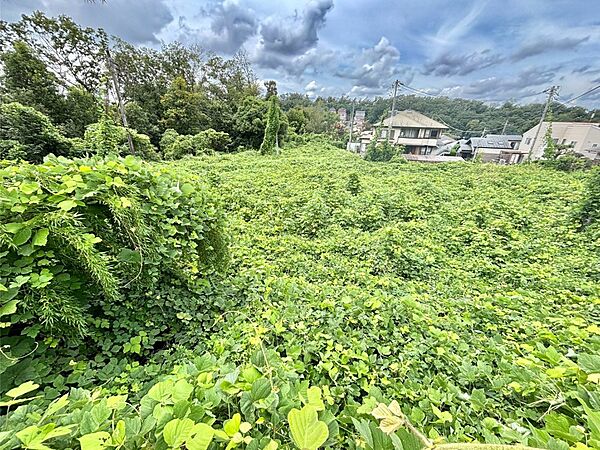 日当たり良好です！ぜひ現地ご確認ください！