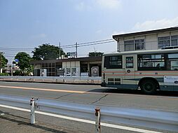 所沢市大字本郷 土地