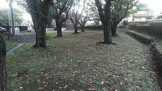 公園 170m 新開第二公園