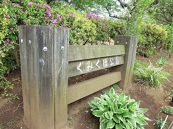 公園 300m ぐみくぼ公園