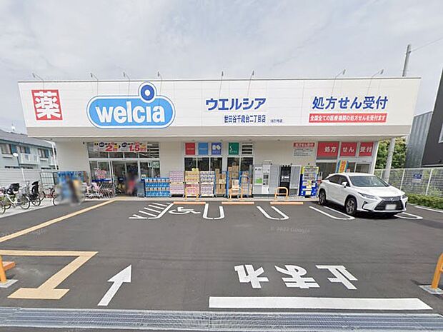 ドラッグストア 500m ウエルシア世田谷千歳台二丁目店