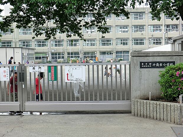 中学校 1155m 世田谷市立千歳台小学校