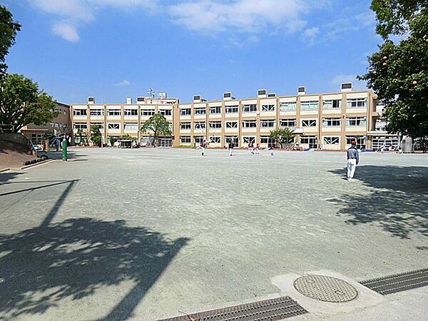 小学校 450m 板橋区立若木小学校