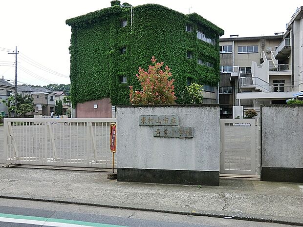 小学校 540m 東村山市立青葉小学校