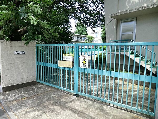 小学校 600m 杉並区立三谷小学校
