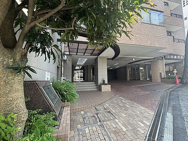 落ち着いた雰囲気のエントランス