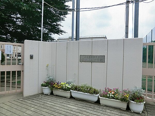 中学校 1000m 杉並区立富士見丘中学校