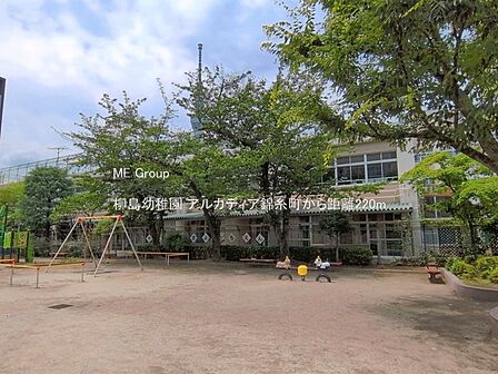 幼稚園・保育園 220m 柳島幼稚園