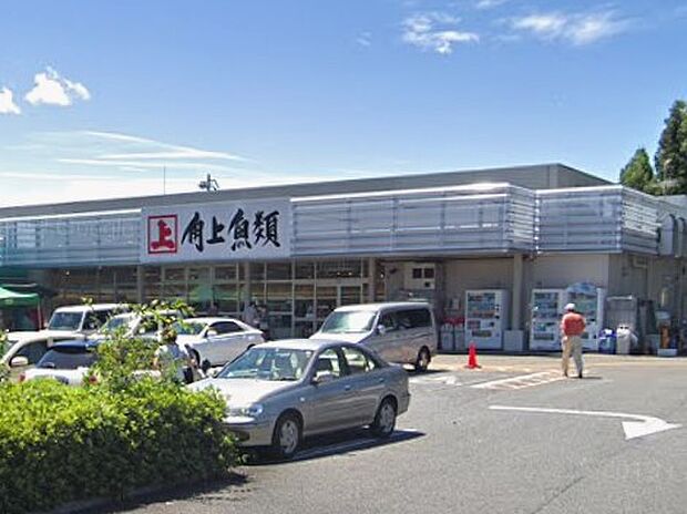 スーパー 800m 角上魚類 小平店
