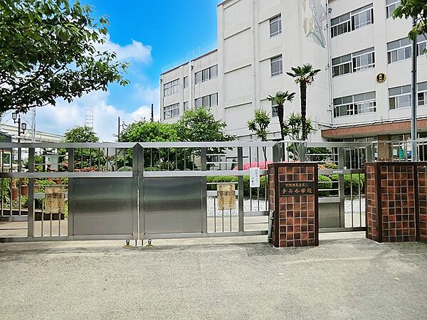 小学校 800m 足立区立青井小学校