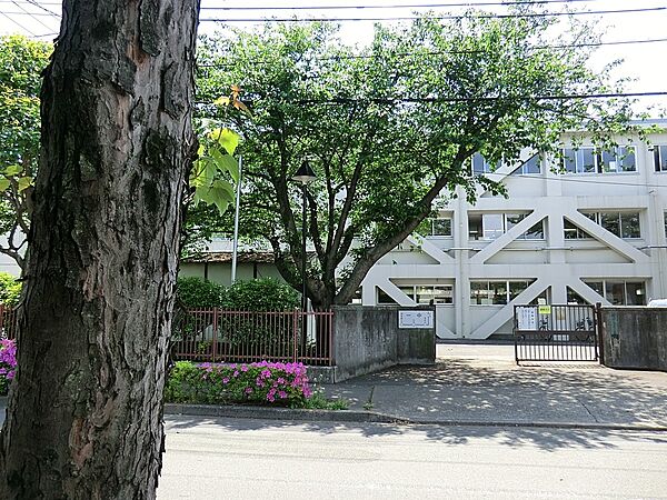 中学校 700m 小金井市立小金井第一中学校