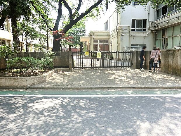 小学校 650m 練馬区立上石神井小学校