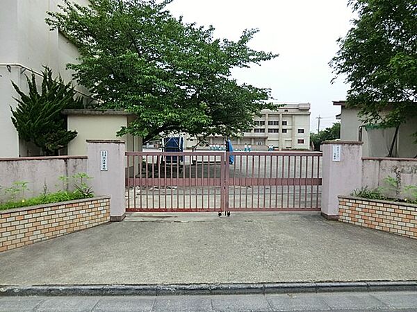 中学校 900m 足立区立渕江中学校