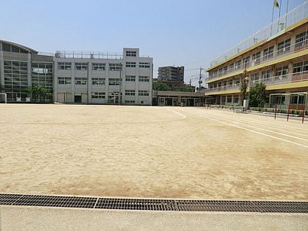 小学校 700m 川口市立仲町小学校