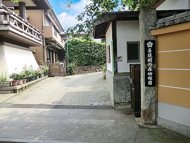 幼稚園・保育園 700m 菩提樹の森幼稚園
