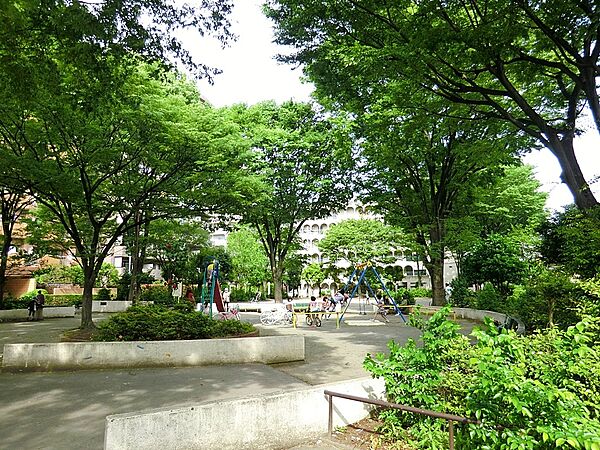 周辺を拡大表示