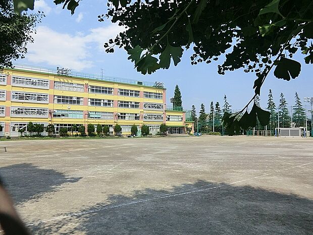 中学校 950m 杉並区立向陽中学校