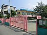 周辺：幼稚園・保育園 800m 赤塚幼稚園