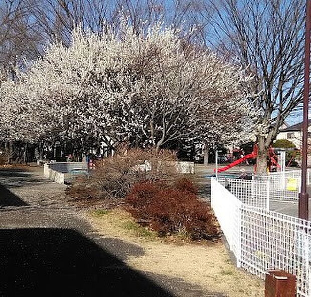 公園 400m 本村公園