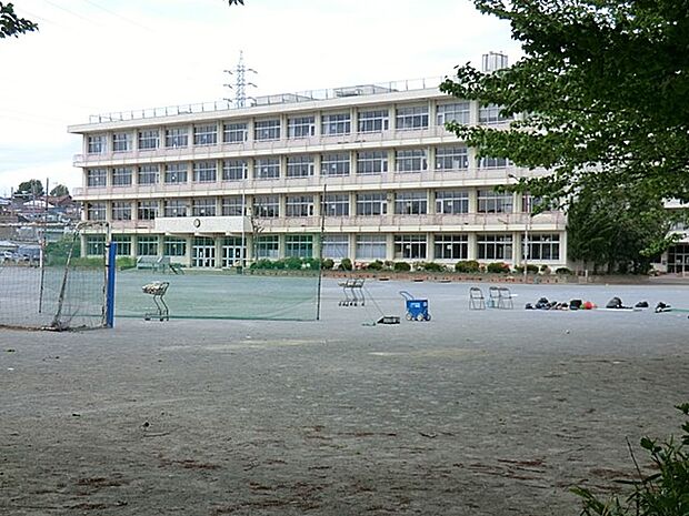 小学校 100m 所沢市立泉小学校