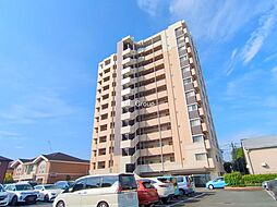 アデニウム川口元郷