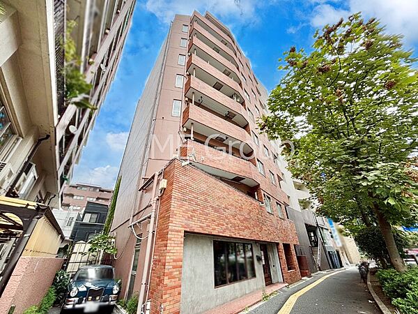 外観：313004409464