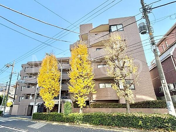 溢れる陽光でご家族の笑顔も輝く