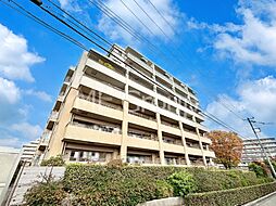 アデニウム吉祥寺