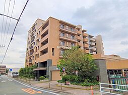 アデニウム吉祥寺