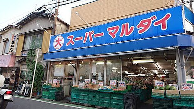 スーパー 800m スーパー マルダイ