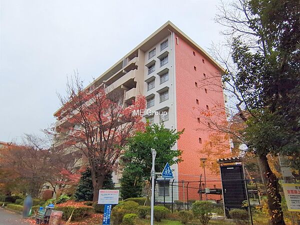 外観：313004538578