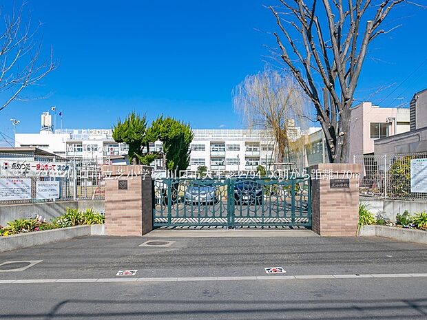 小学校 170m 川口市立芝小学校